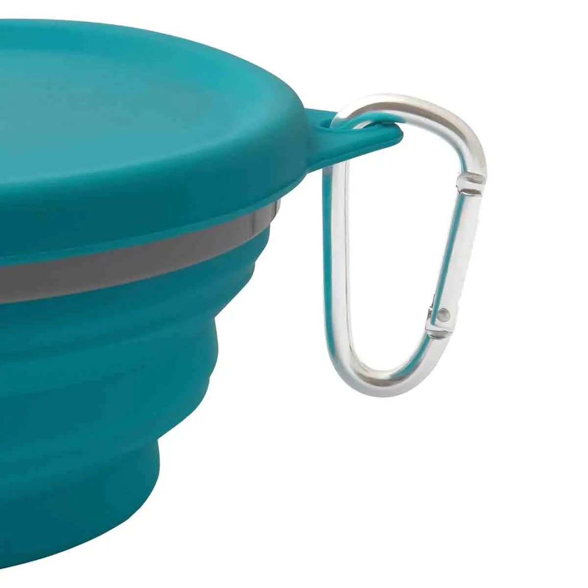 Lexi & Me Collapsible Travel Dog Bowl with Lid