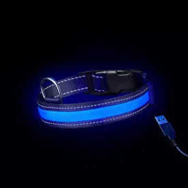 Loomo Moonshine LED Dog Collar Blue
