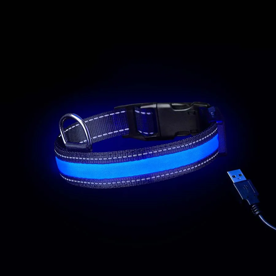Loomo Moonshine LED Dog Collar Blue