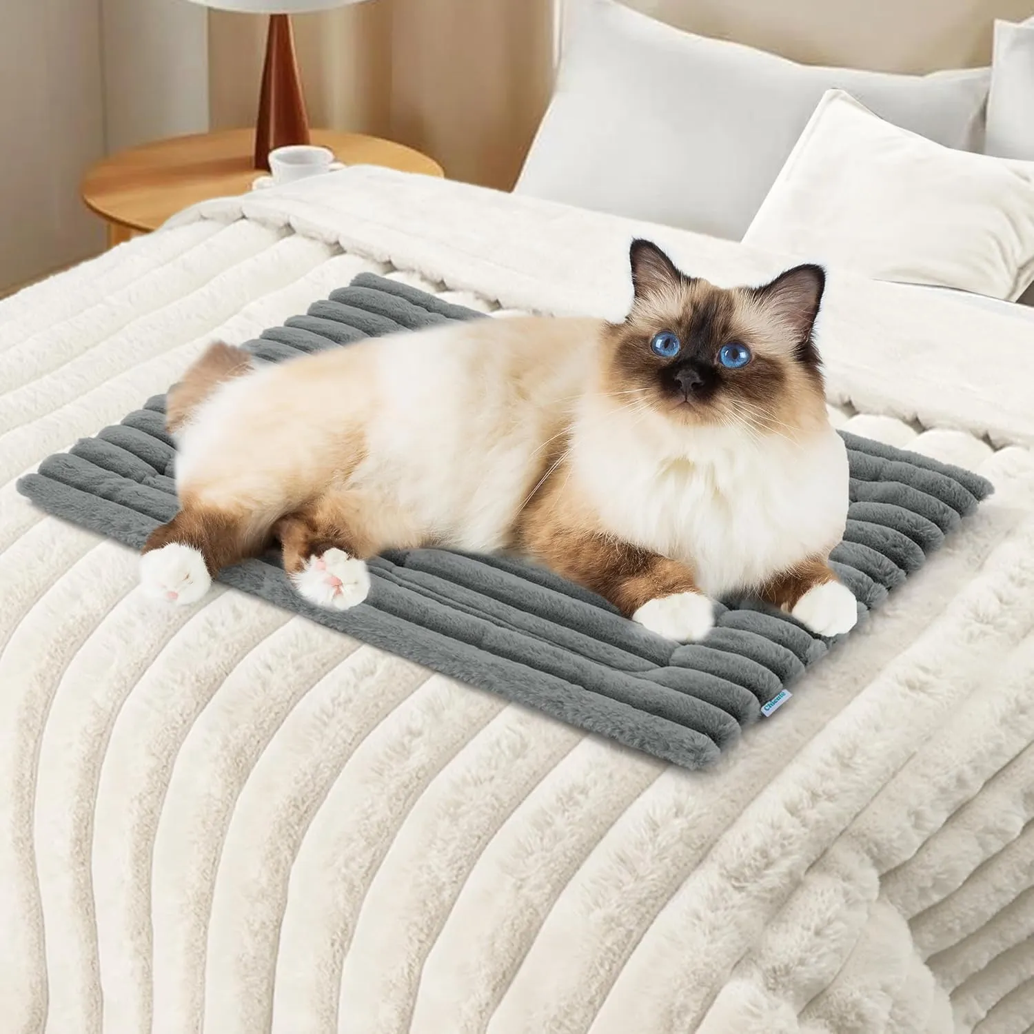 Luxury Soft Self Warming Cat Bed, 24" x 18" Thermal Warm Small Dog Pad for Indoor & Outdoor, Washable Pet Mat with Non-Slip Bottom (Beige)