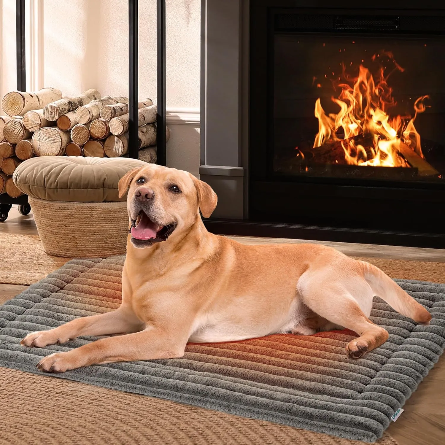 Luxury Soft Self Warming Cat Bed, 24" x 18" Thermal Warm Small Dog Pad for Indoor & Outdoor, Washable Pet Mat with Non-Slip Bottom (Beige)
