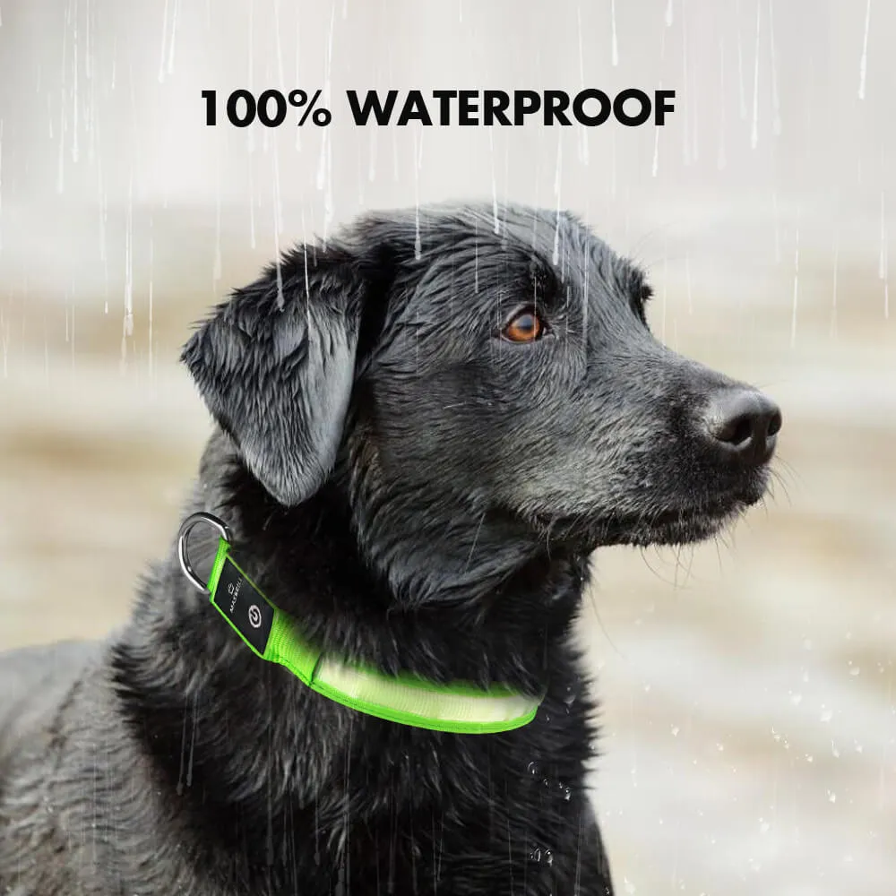 MASBRILL Rechargeable Waterproof Light-Up Dog Collar