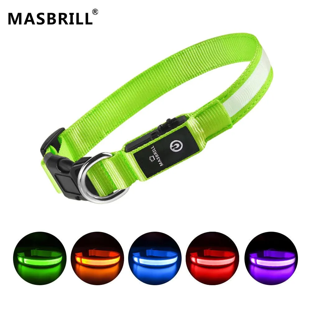 MASBRILL Rechargeable Waterproof Light-Up Dog Collar