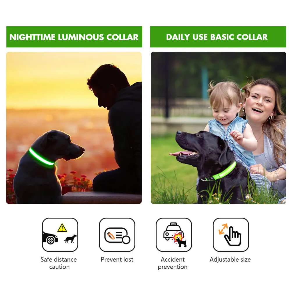 MASBRILL Rechargeable Waterproof Light-Up Dog Collar