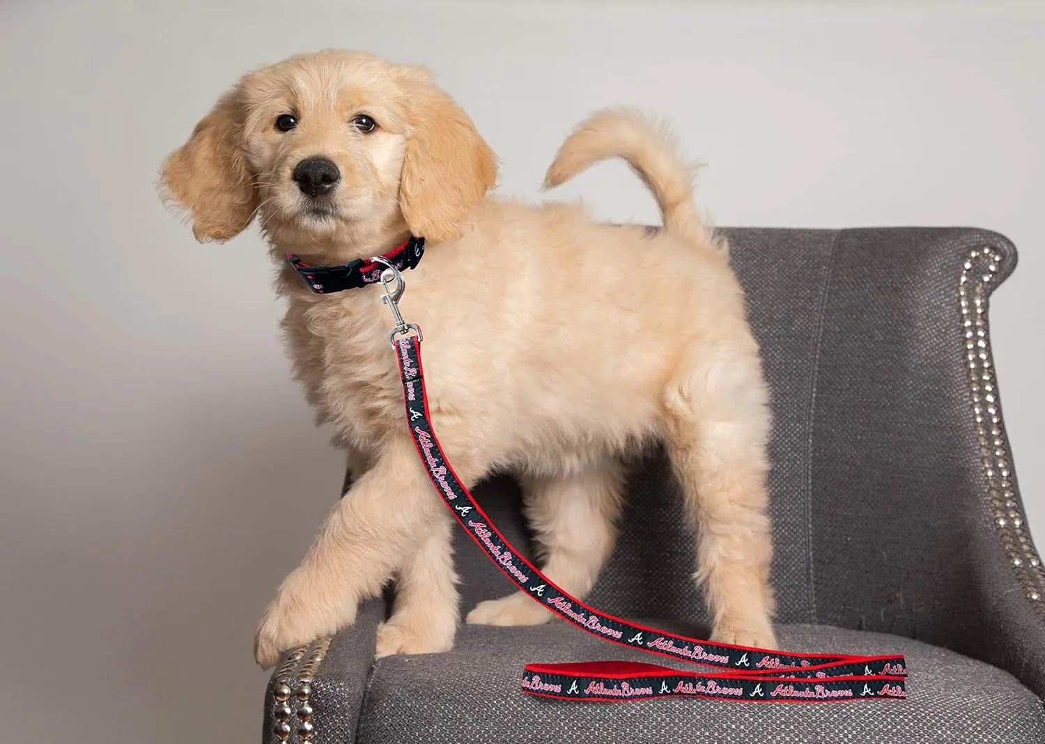 MLB PET Leash, Large, Atlanta Braves Dog Leash, Baseball Team Leash for Dogs & Cats. A Shiny & Colorful Dog & Cat Leash with Emboridered Team Name/Logo Licensed by The MLB