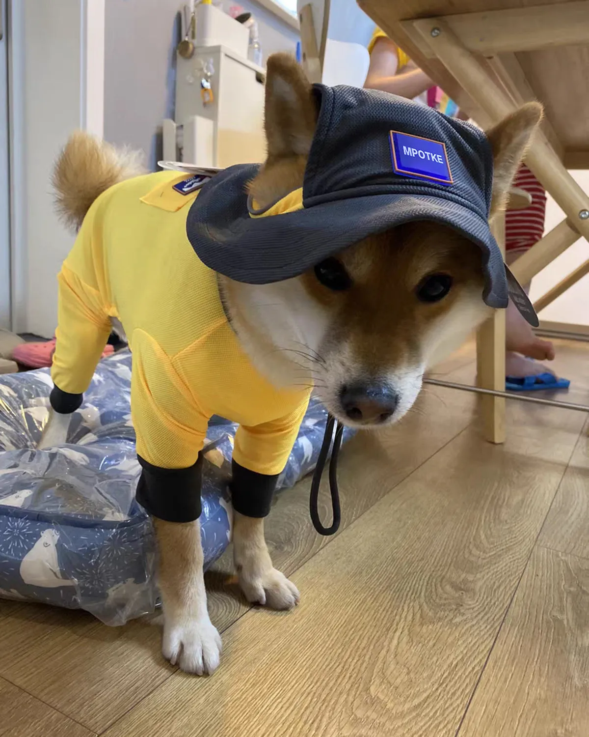 MPOTKE Pet Cap, Round Hat Fashion Dog Canvas Hat Baseball  Puppy Dog