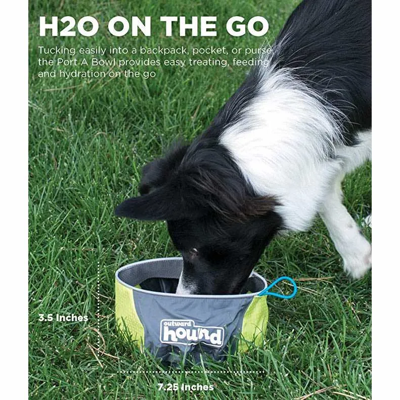 Outward Hound Port A Bowl Collapsible Pet Bowl Large 48oz