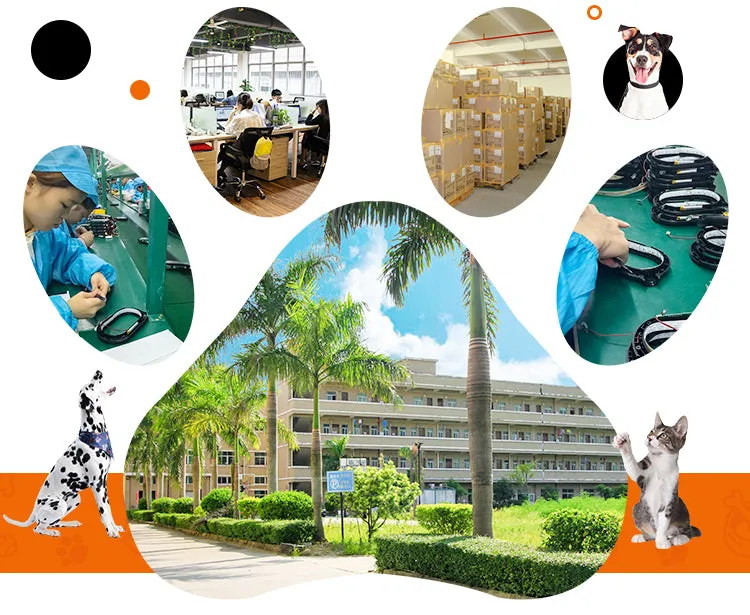PAWS ASIA Suppliers Wholesale Hot Sales Outdoor Portable Multi Function Adjustable Retractable Leash For Dogs