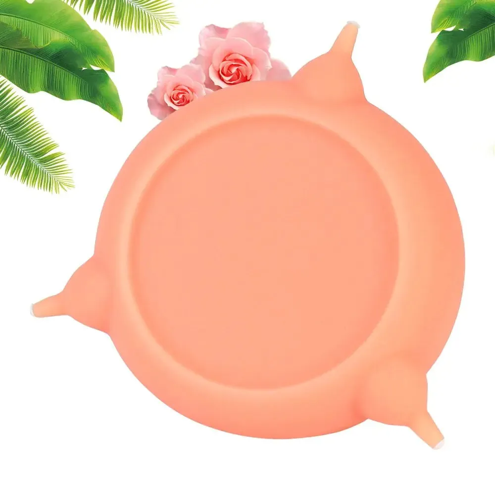 Pet Nursing Silicone Bowl