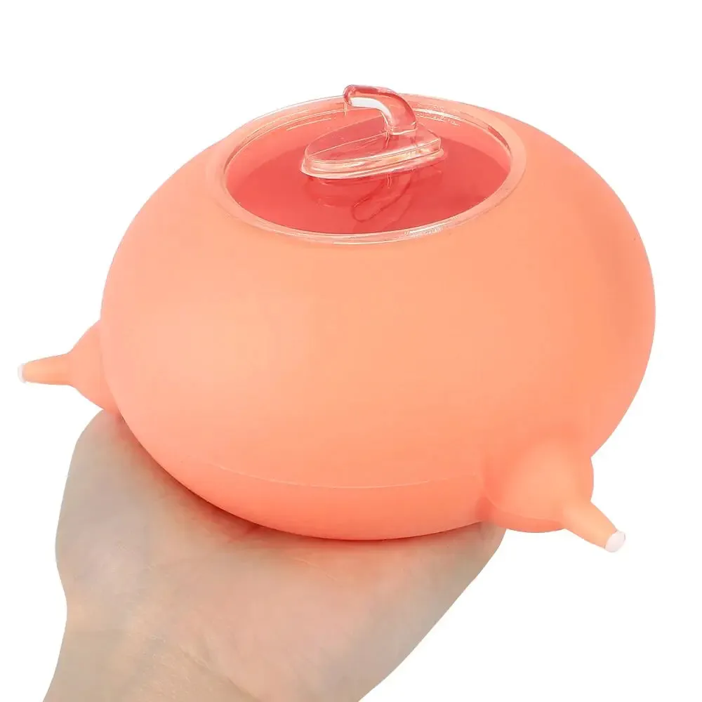 Pet Nursing Silicone Bowl