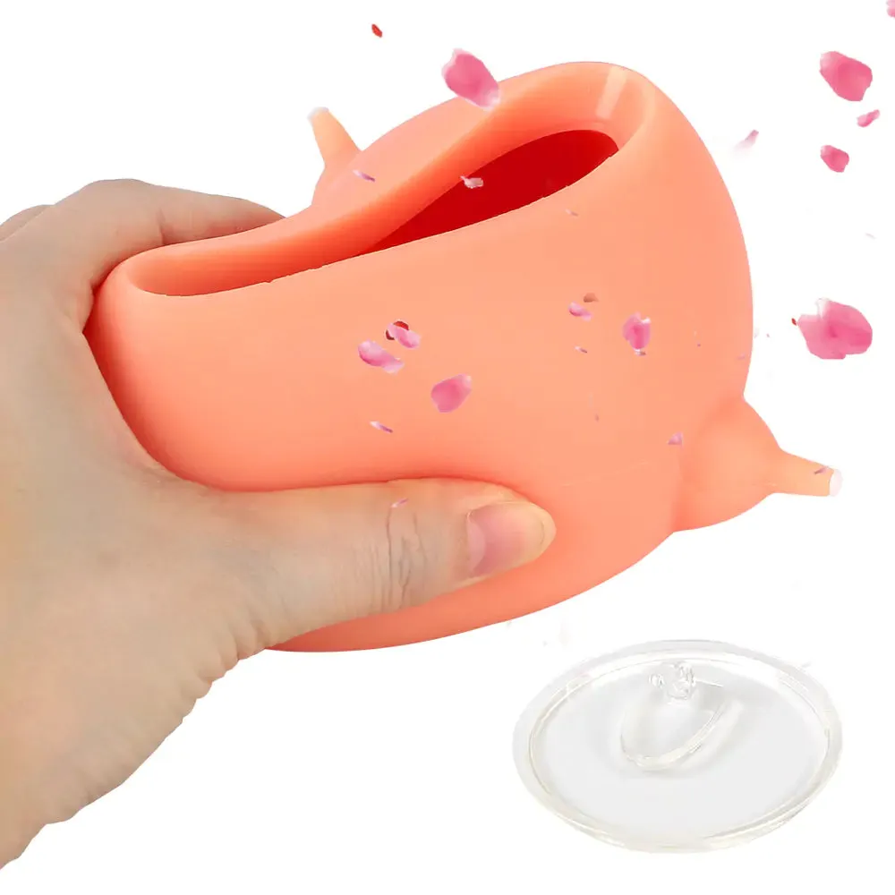 Pet Nursing Silicone Bowl