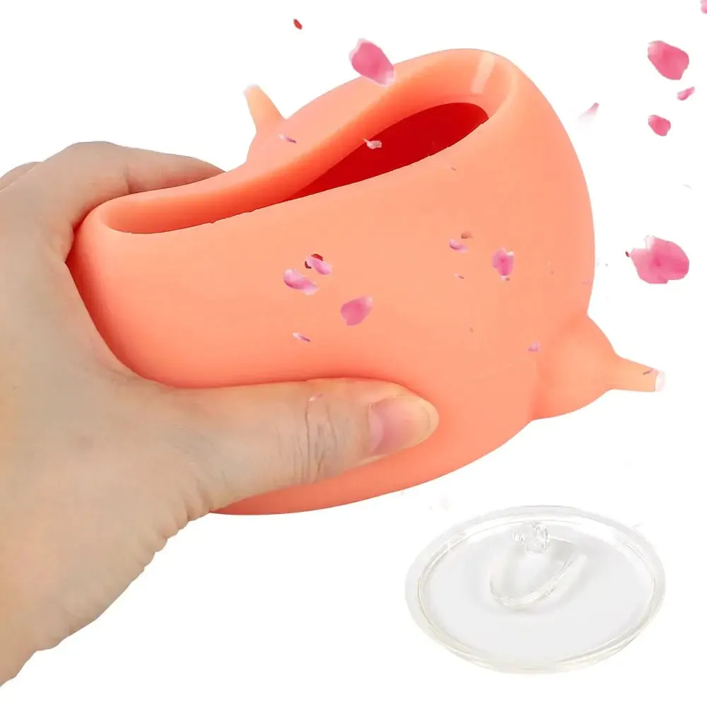 Pet Nursing Silicone Bowl