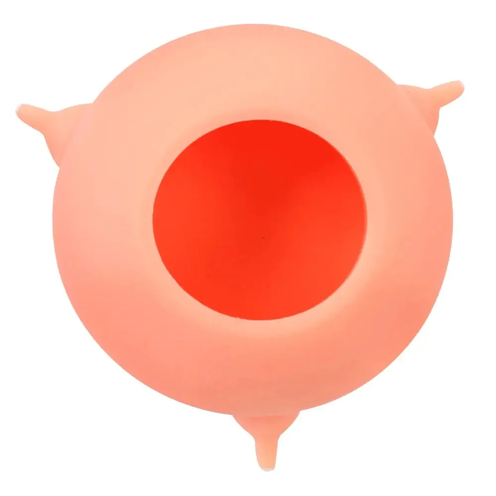 Pet Nursing Silicone Bowl