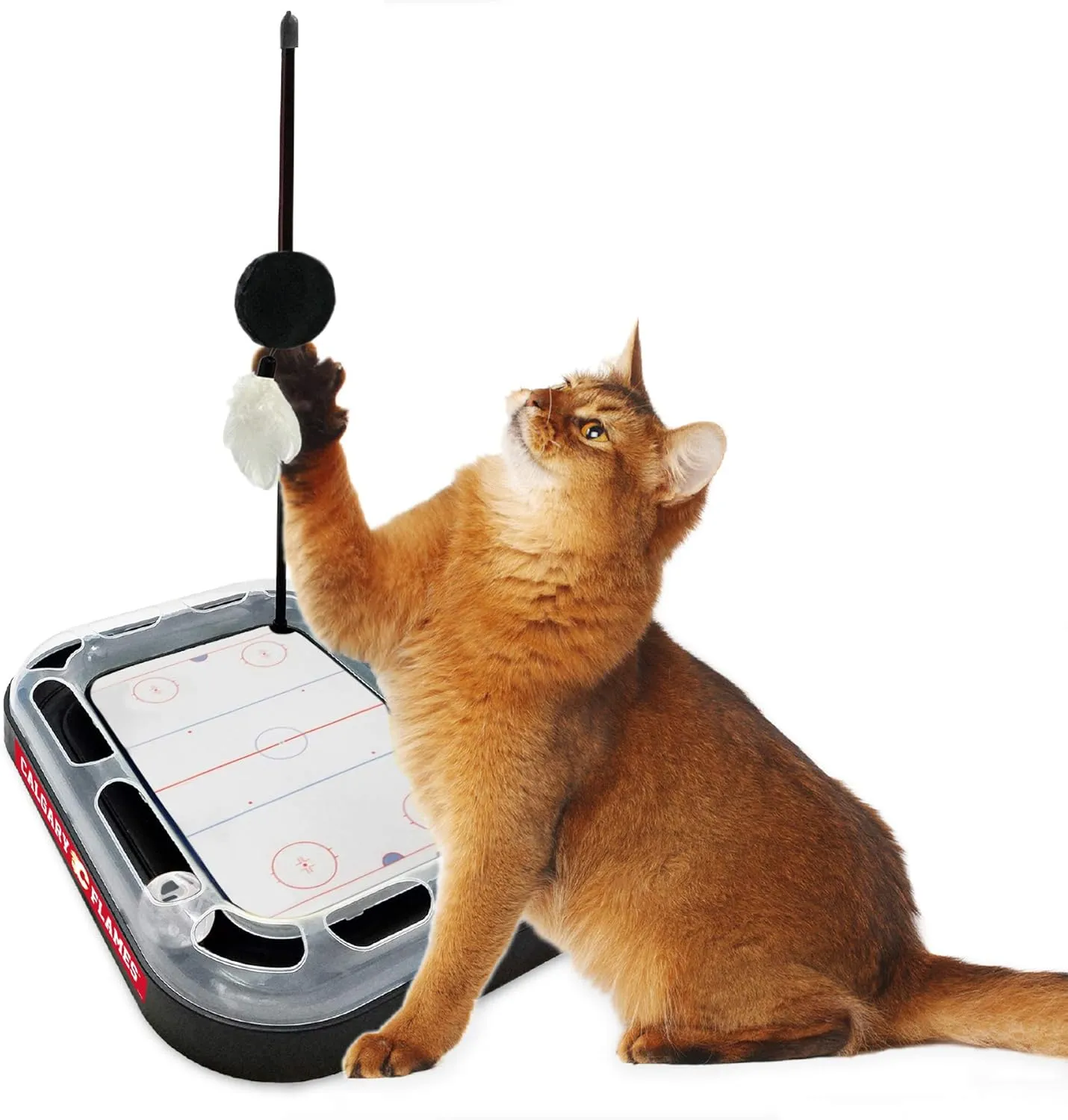 Pets First NHL Calgary Flames 5-in-1 Cat Scratching Toy with Interactive Cat Ball, Bell and Track