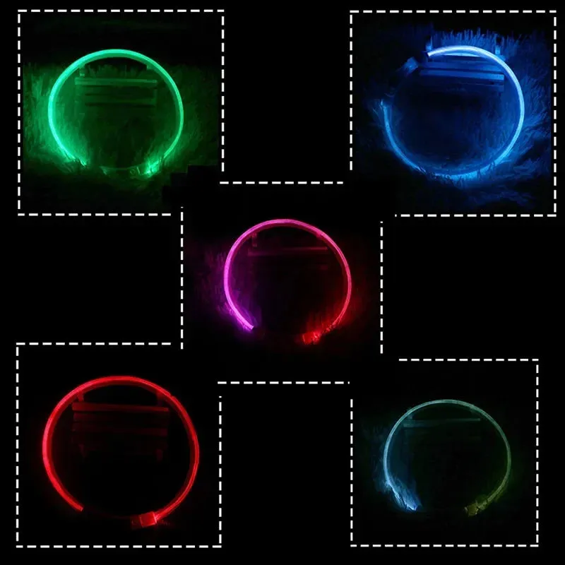Rechargeable LED Dog Collar - High Visibility & Adjustable
