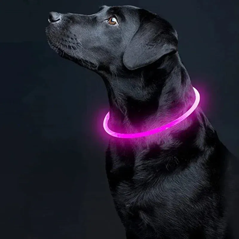 Rechargeable LED Dog Collar - High Visibility & Adjustable