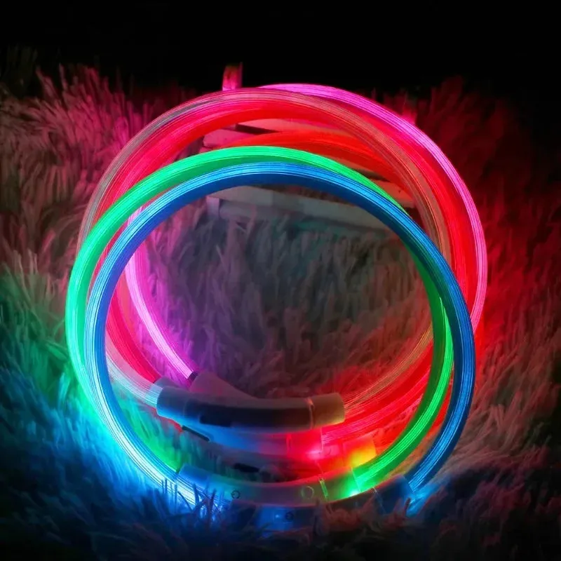 Rechargeable LED Dog Collar - High Visibility & Adjustable