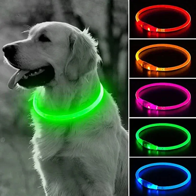 Rechargeable LED Dog Collar - High Visibility & Adjustable