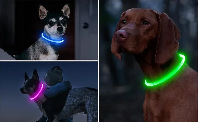 Rechargeable LED Dog Collar - High Visibility & Adjustable