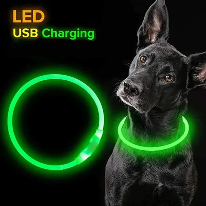 Rechargeable LED Dog Collar - High Visibility & Adjustable
