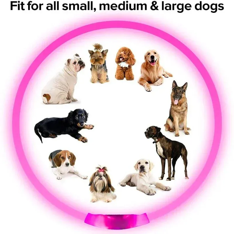 Rechargeable LED Dog Collar - High Visibility & Adjustable