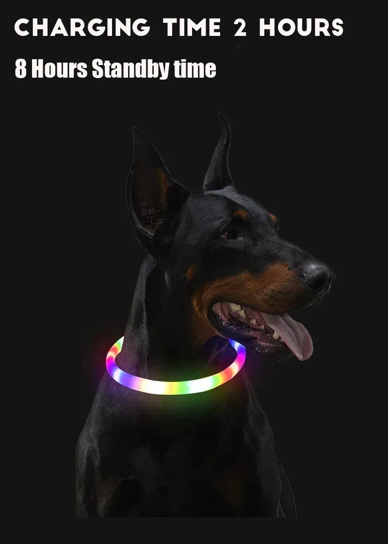 Rechargeable LED Dog Collar - High Visibility & Adjustable