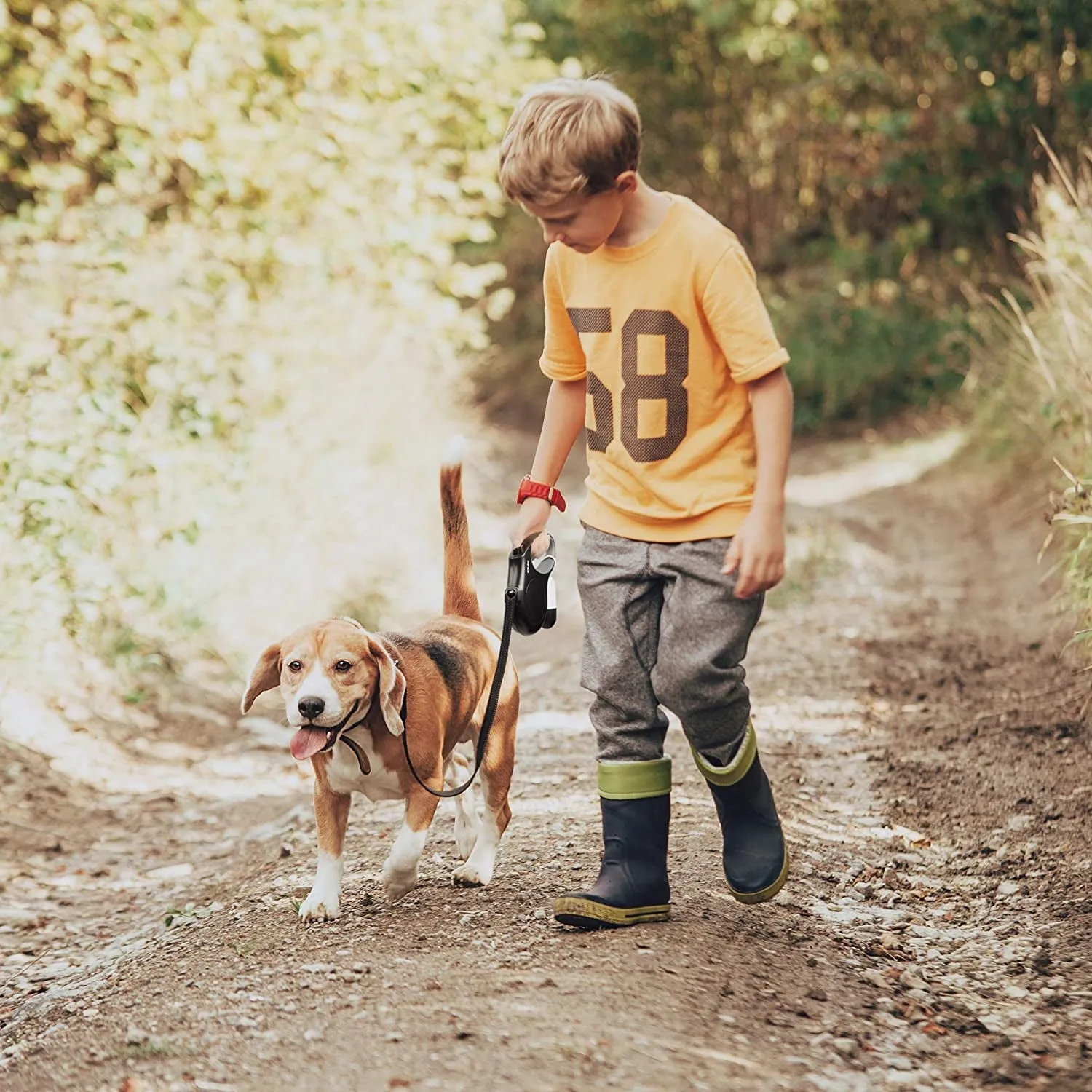 Retractable Leash with Poop Bag Dispenser