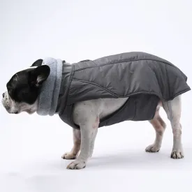 RoyalPup Frenchie Luxury Winter Jacket