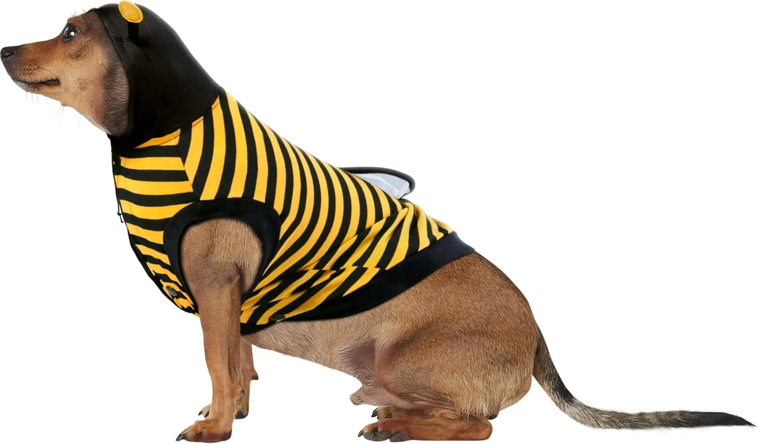 Rubies Bumble Bee Pet Costume, X-Large for Themed Parties and Halloween