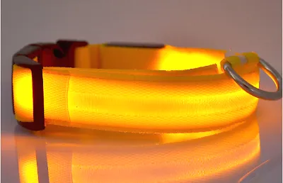 SAFETY LED Dog Pet Light Up Collar Night Glow Adjustable Bright 6 Colors Leash