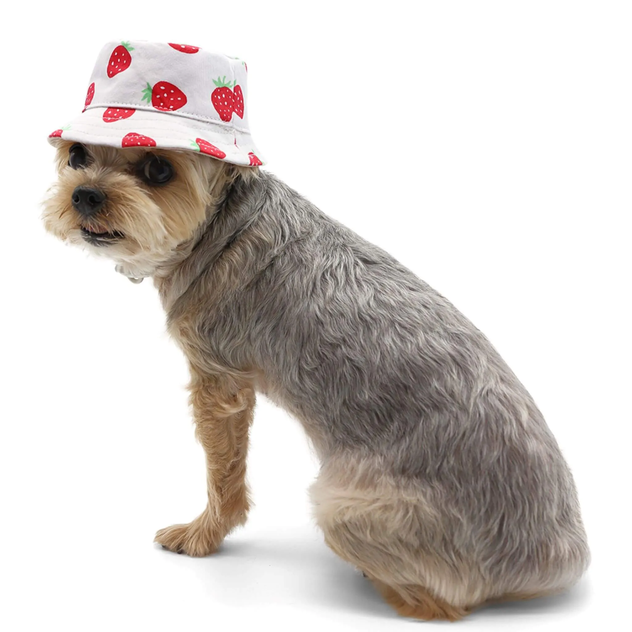 Strawberry Bucket Dog Hat