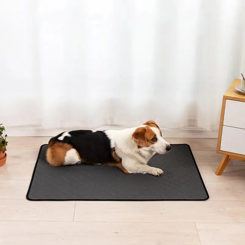 Waterproof Pet Mat | Water-absorbing Pet Pee Pad | Reusable and Washable | Anti Slip