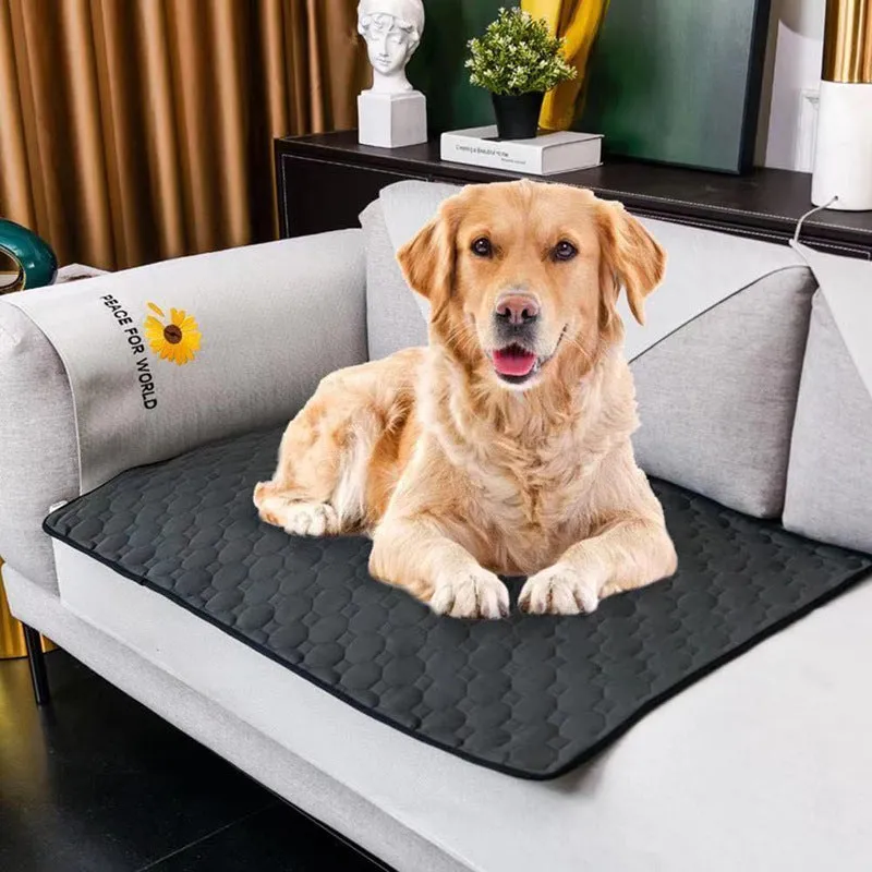 Waterproof Pet Mat | Water-absorbing Pet Pee Pad | Reusable and Washable | Anti Slip