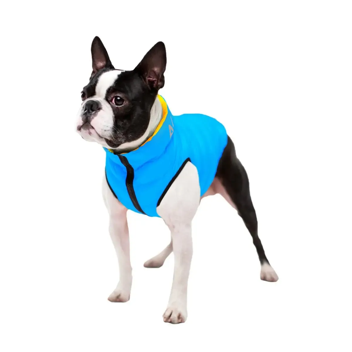 WAUDOG AIRY VEST World's Lightest Warm Jacket For Dogs "Colours of Freedom"