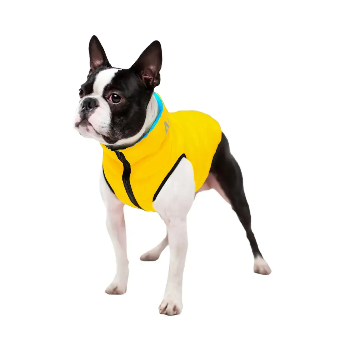 WAUDOG AIRY VEST World's Lightest Warm Jacket For Dogs "Colours of Freedom"