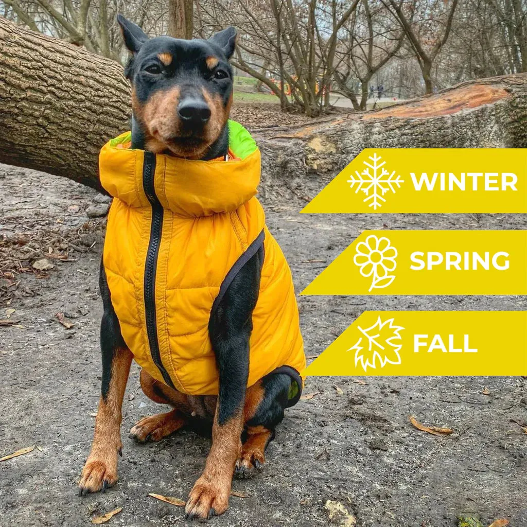 WAUDOG World's Lightest Warm Jacket For Dogs
