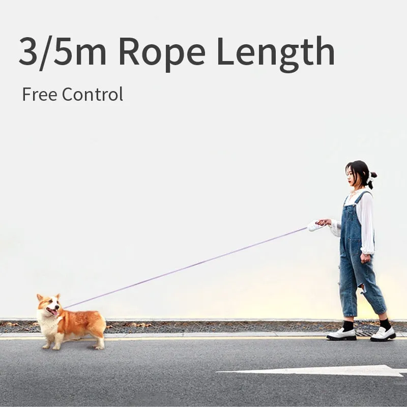Woooby™ Automatic Retractable Lighting Dog Leash