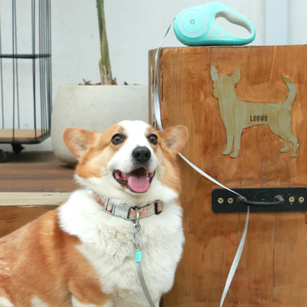Woooby™ Automatic Retractable Lighting Dog Leash